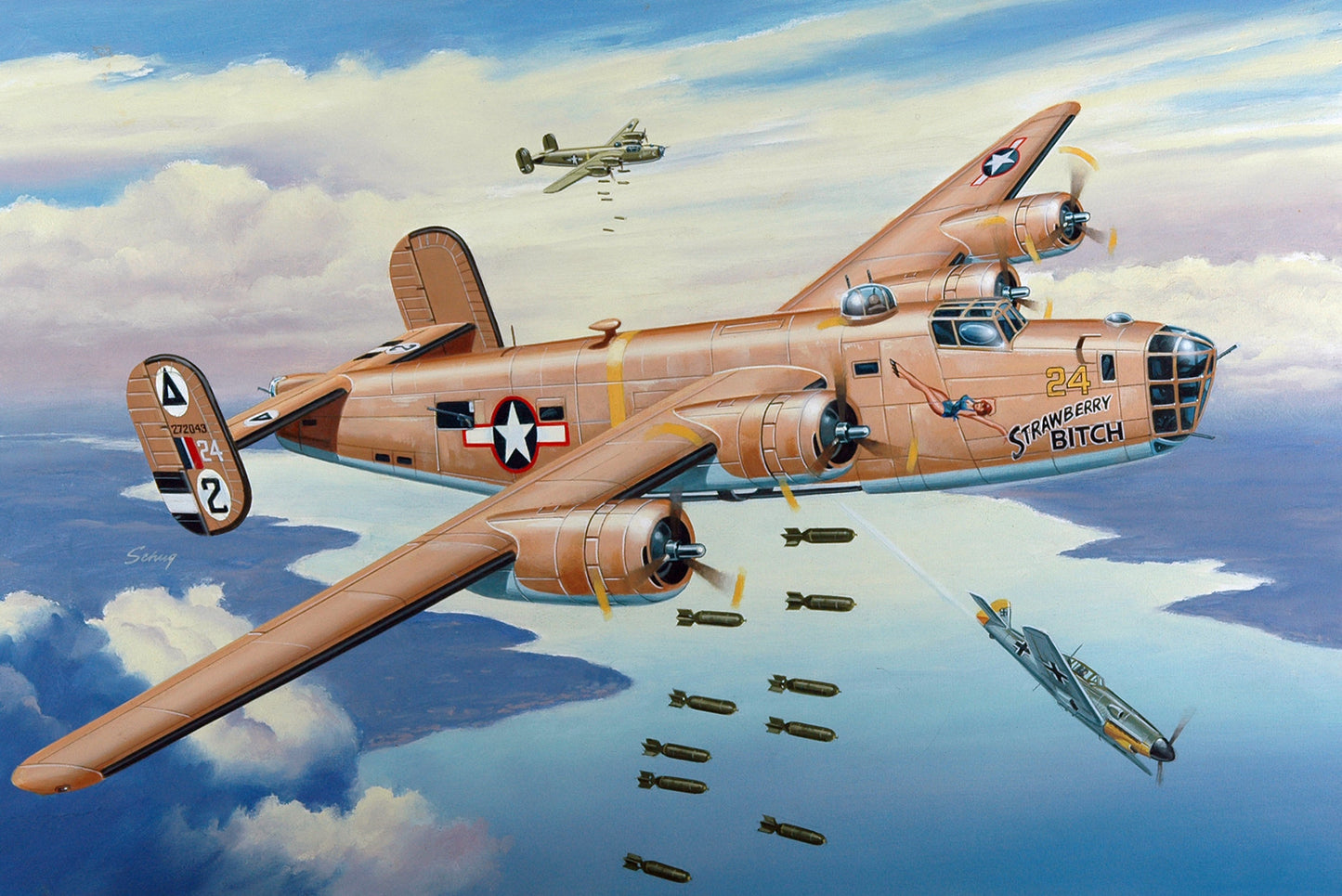 B-24D Strawberry Bitch